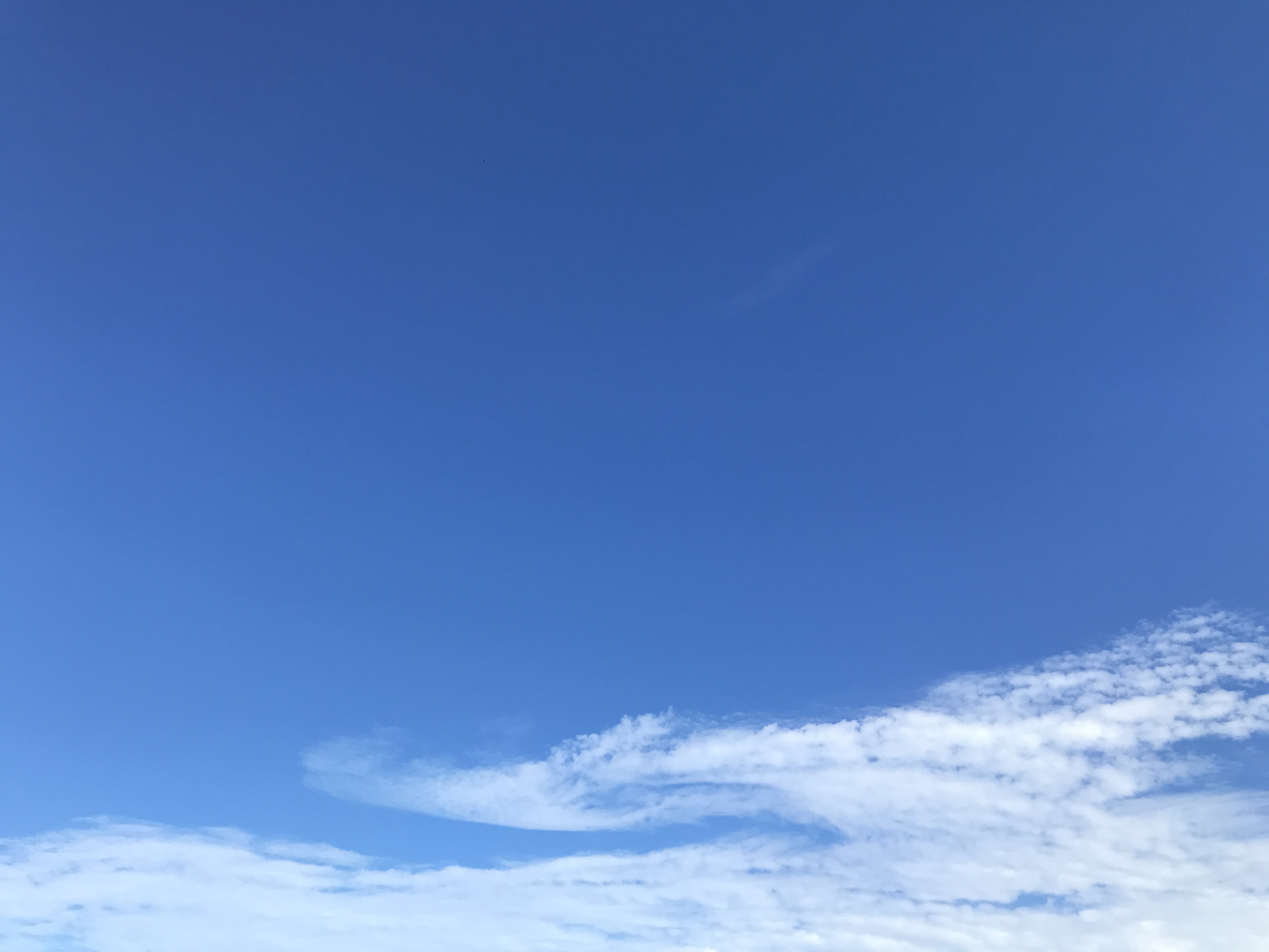 初夏の旅