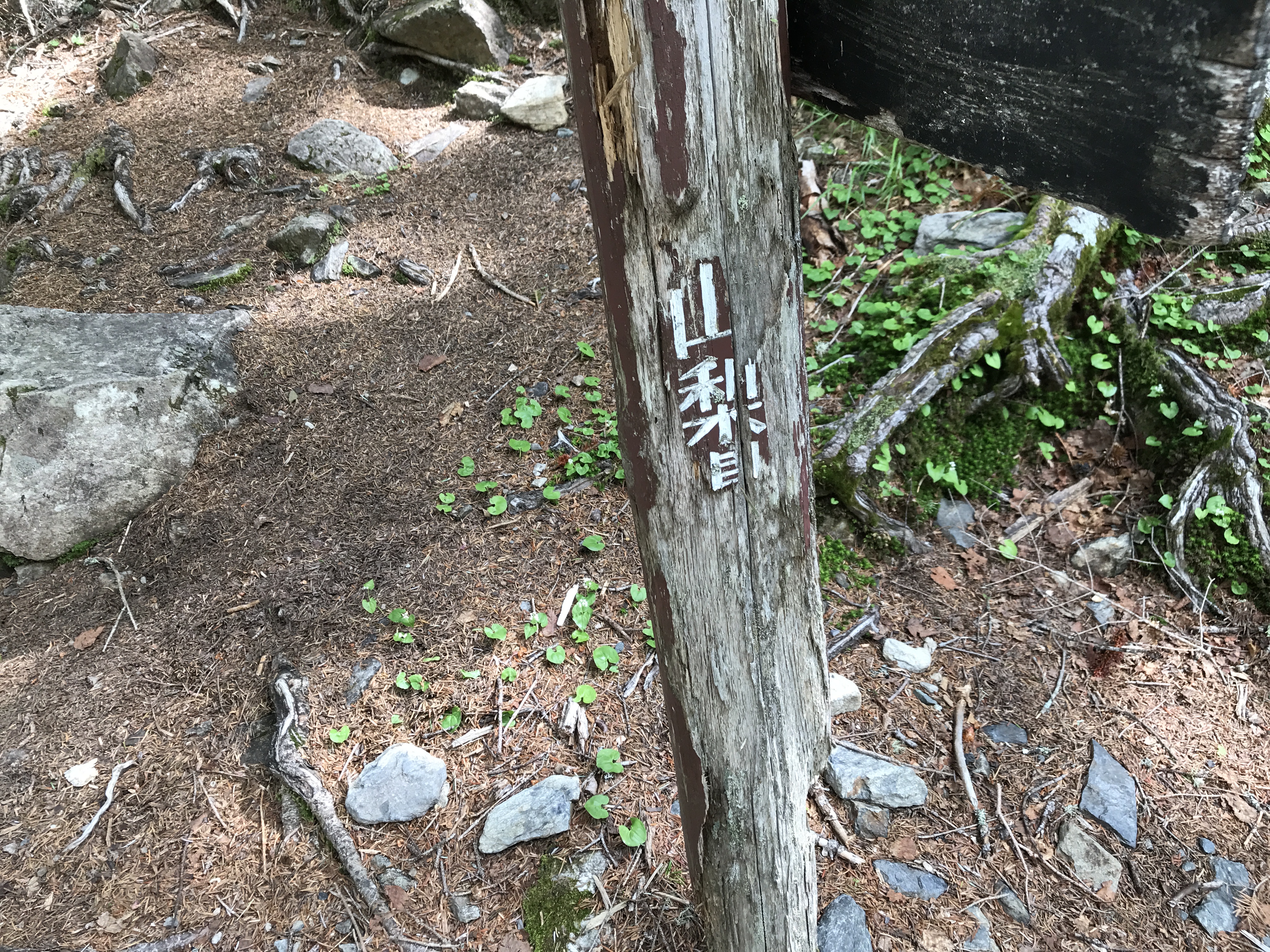 北沢峠