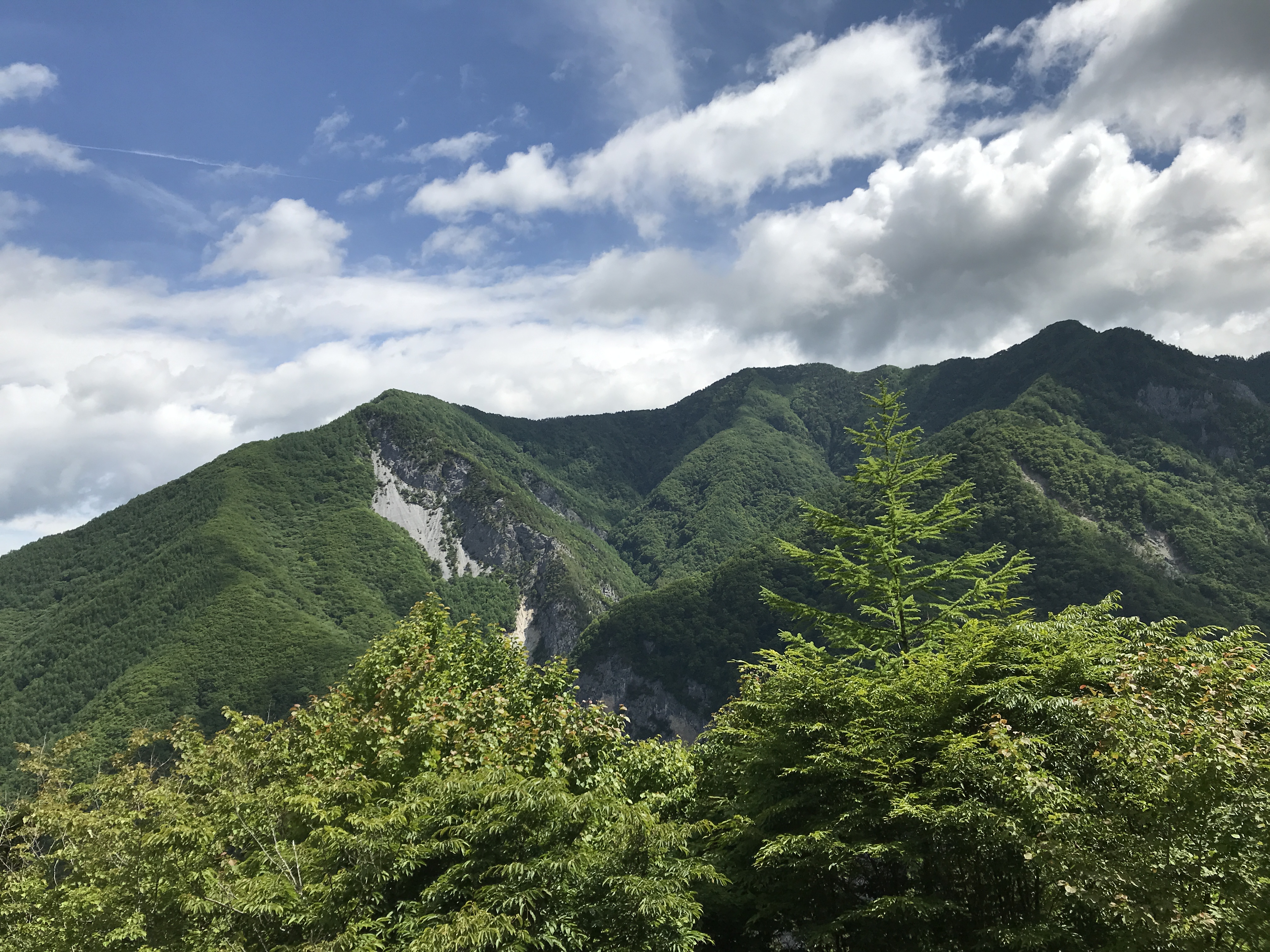 南アルプス林道