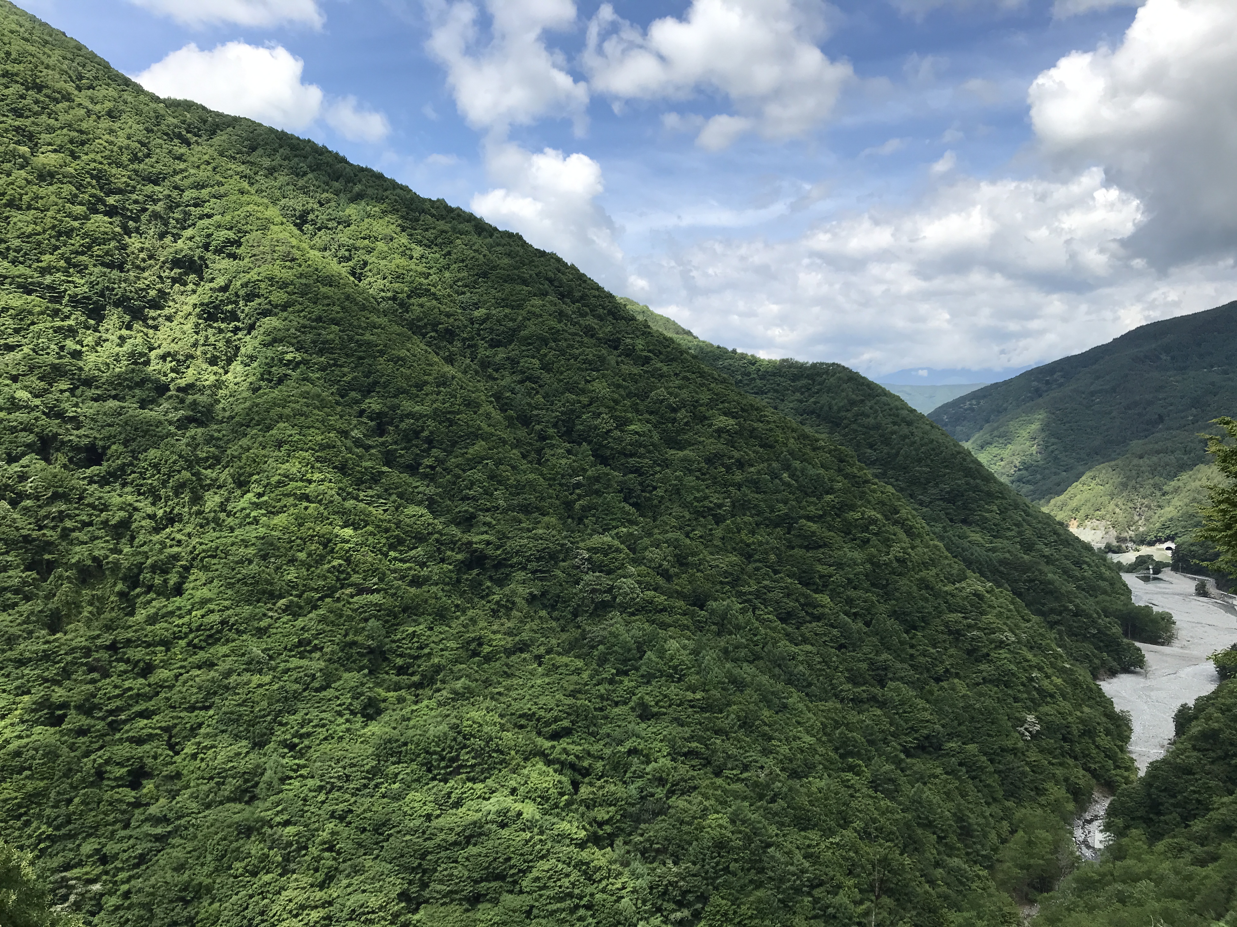 南アルプス林道