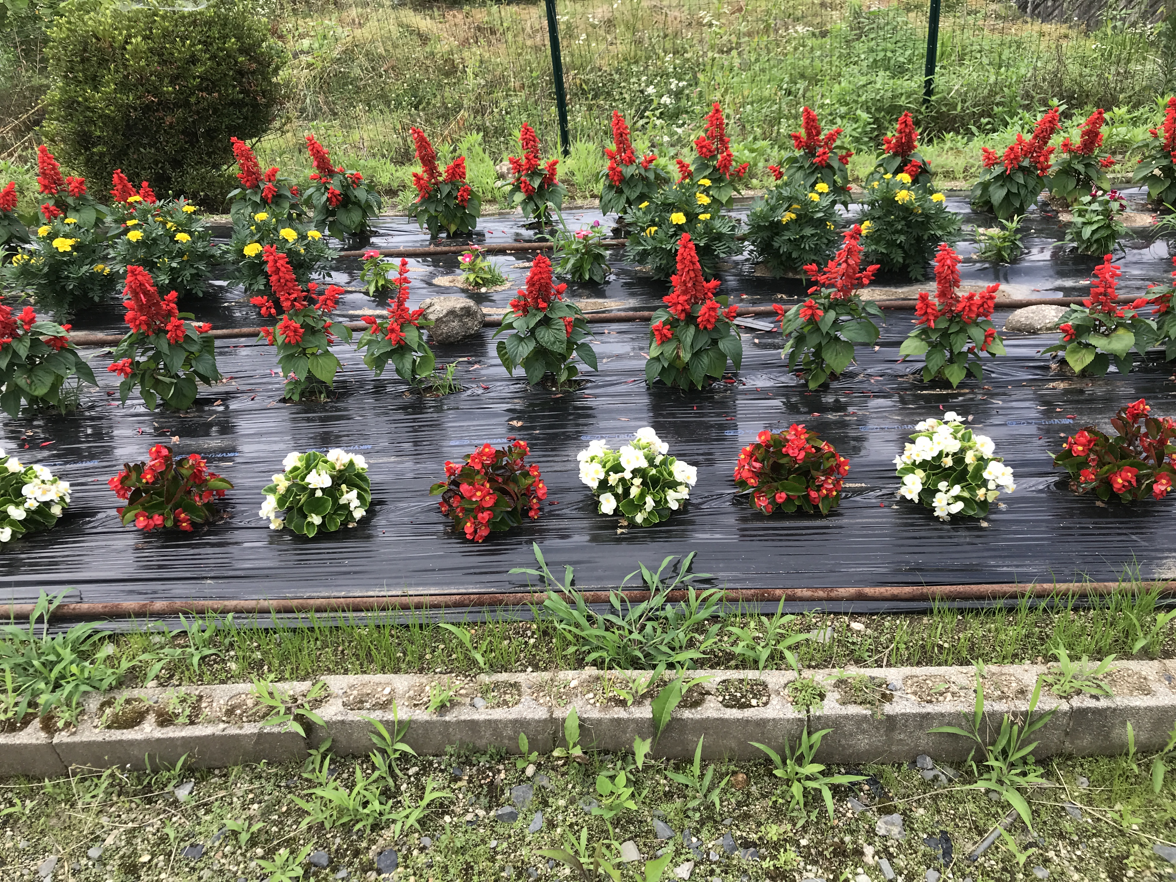 明知鉄道明知線飯沼駅