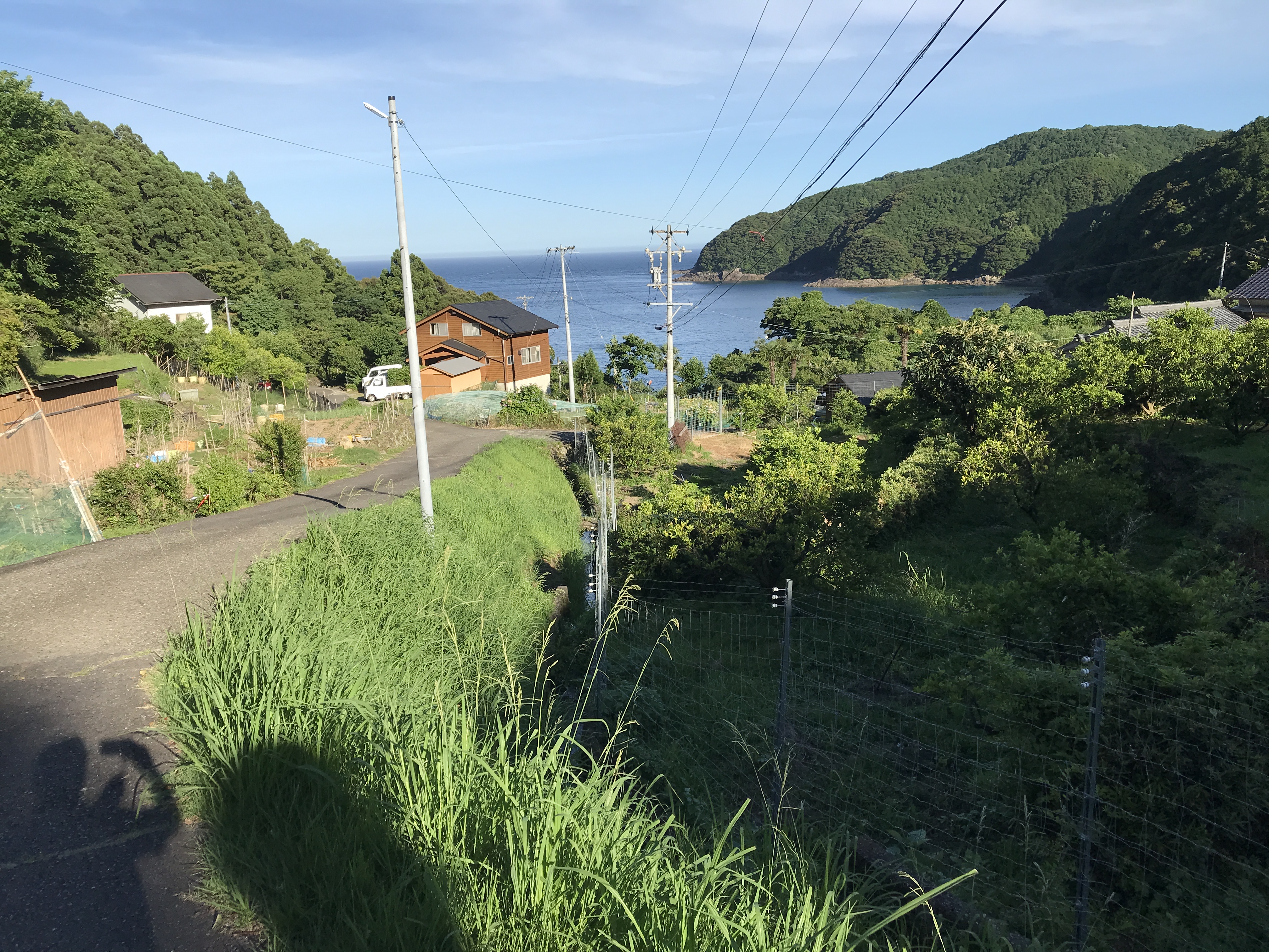 紀勢本線波田須駅