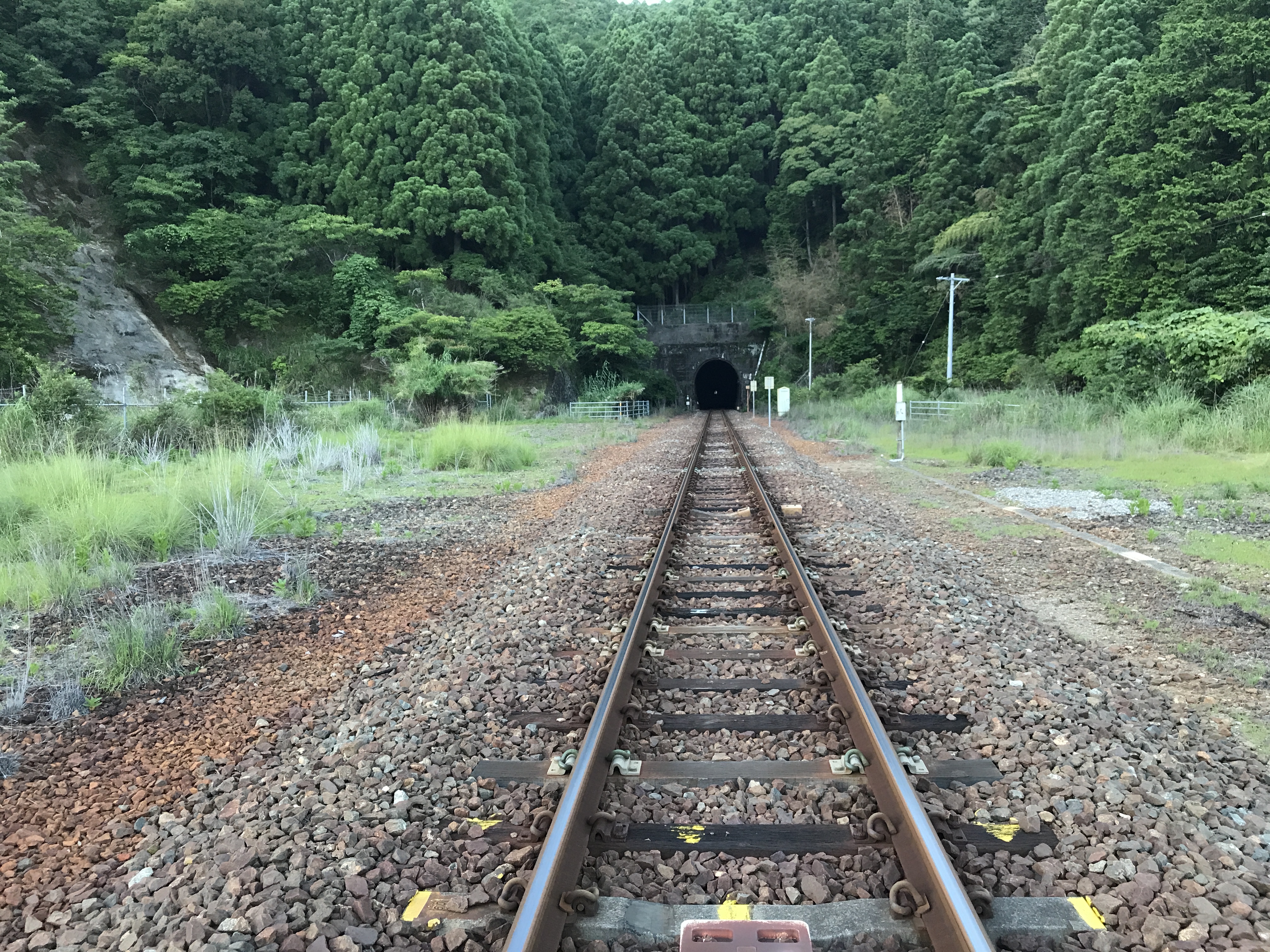 紀勢本線大泊駅
