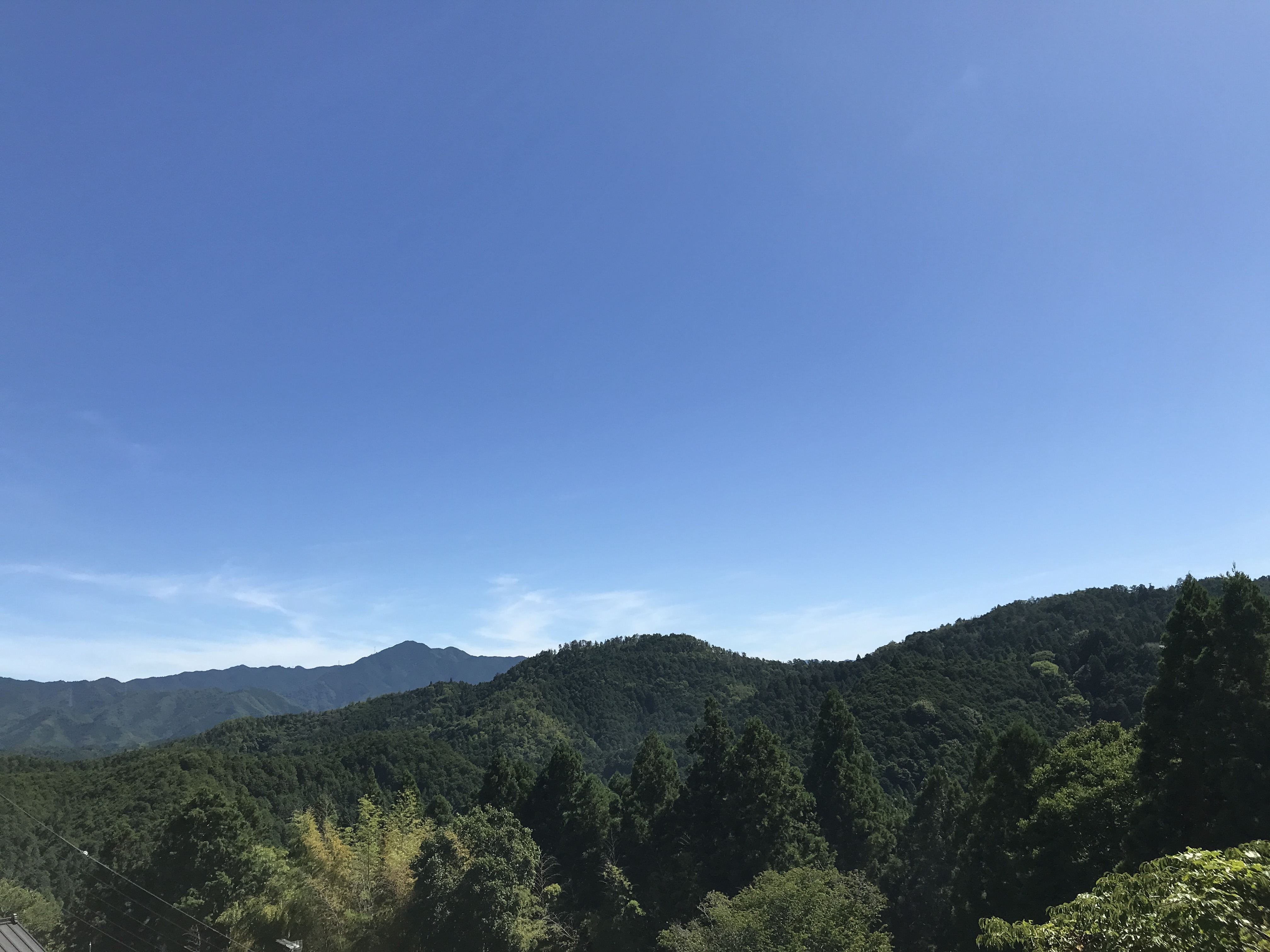 吉野山