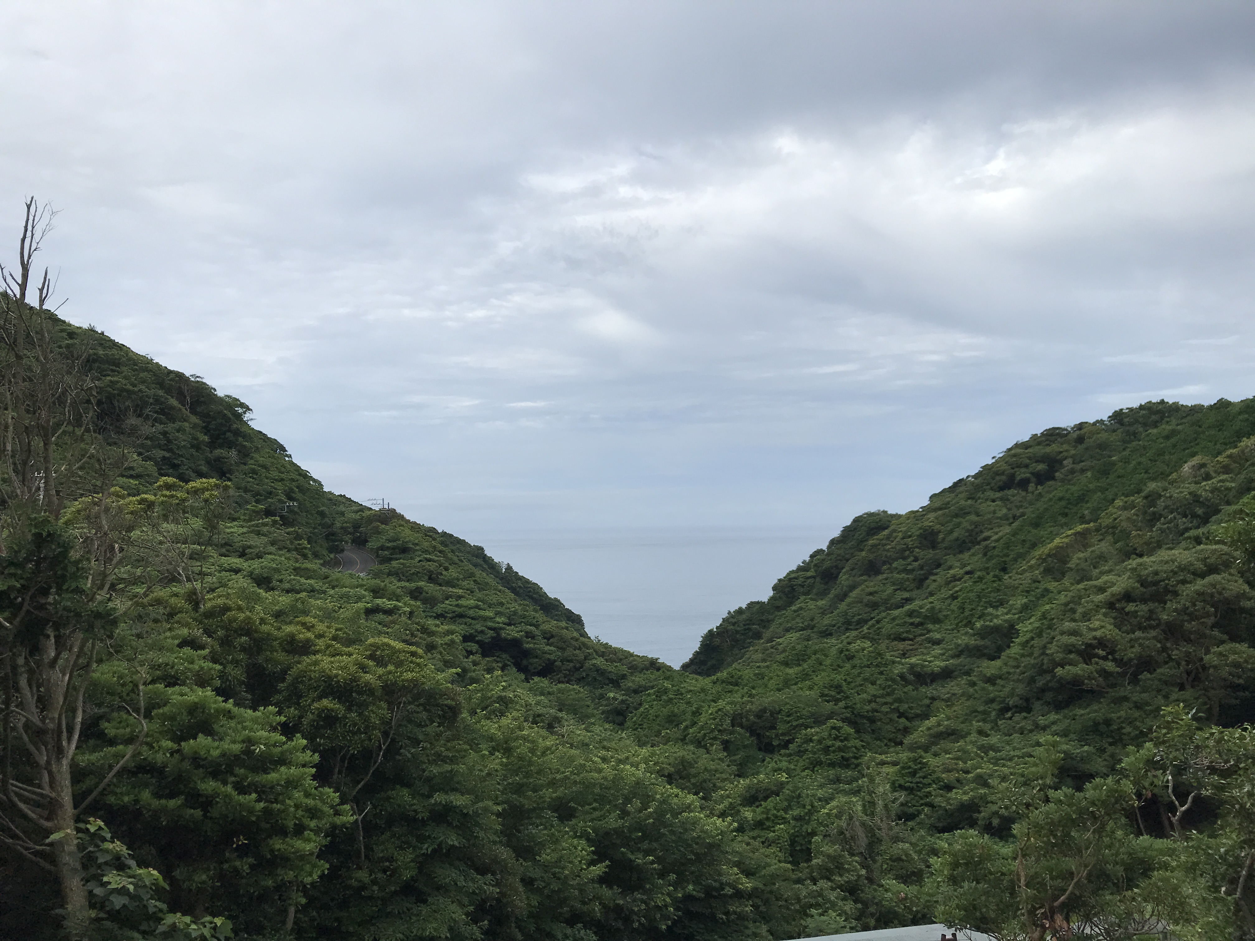 マーガレットライン