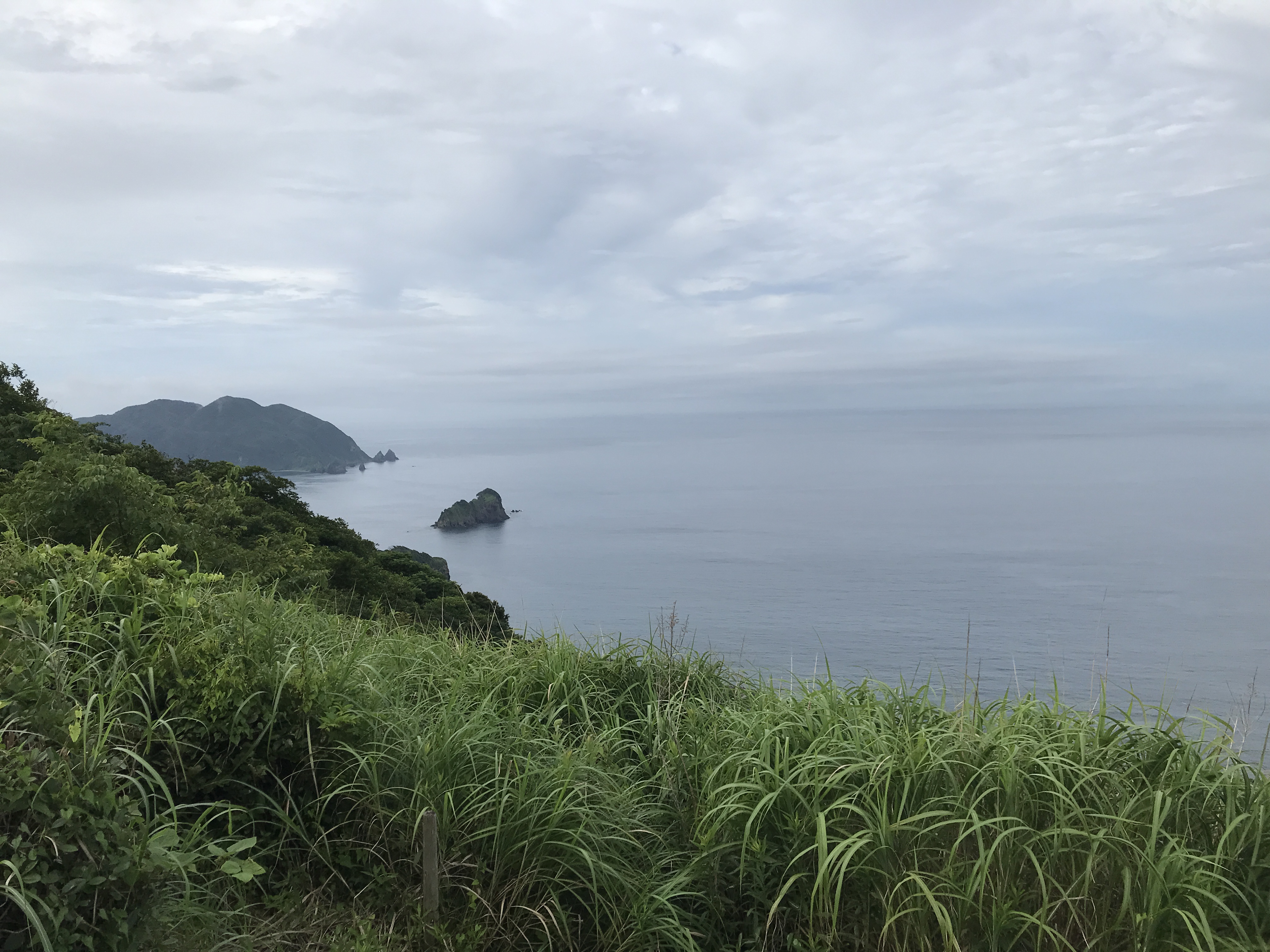 マーガレットライン