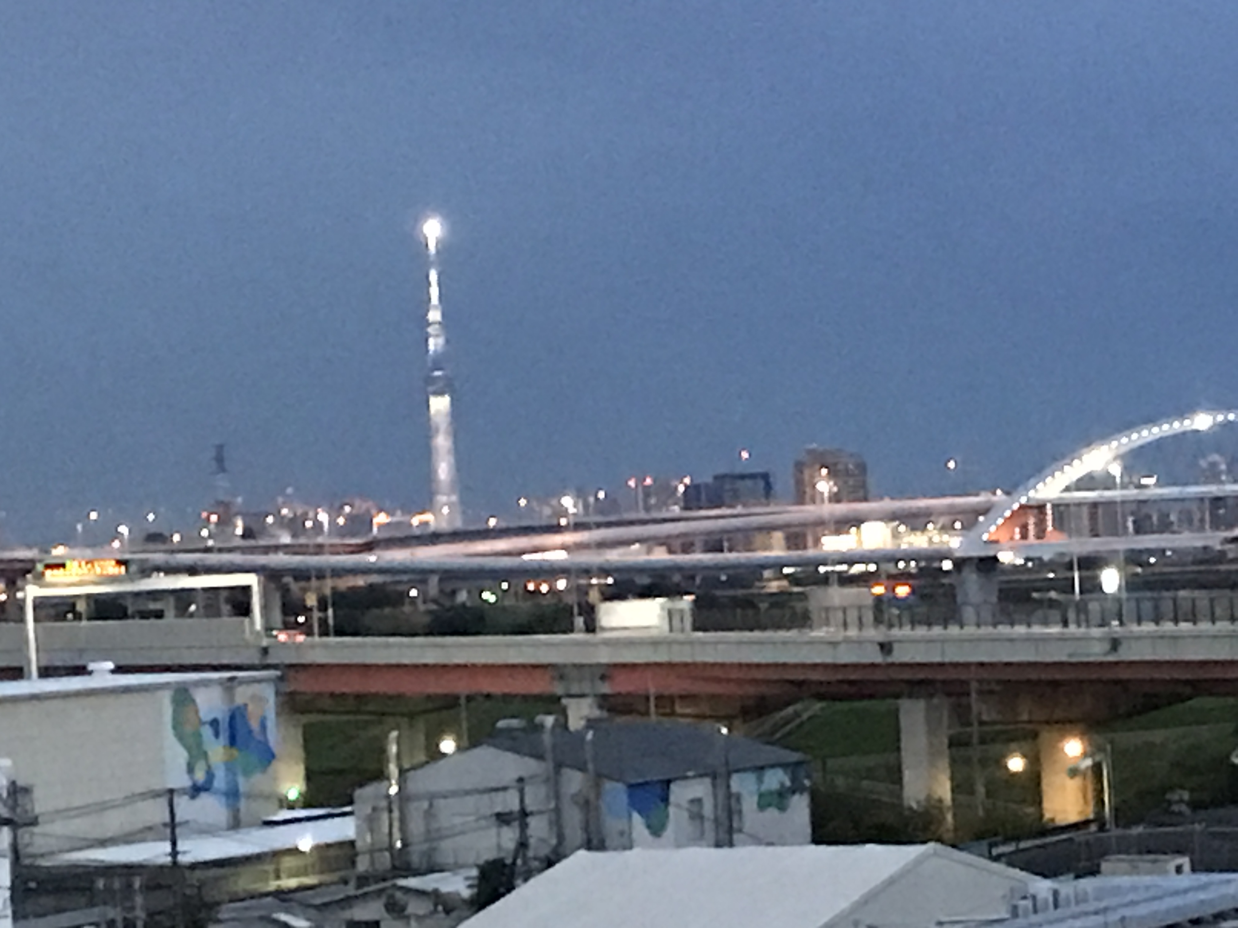 鹿浜橋付近夜景