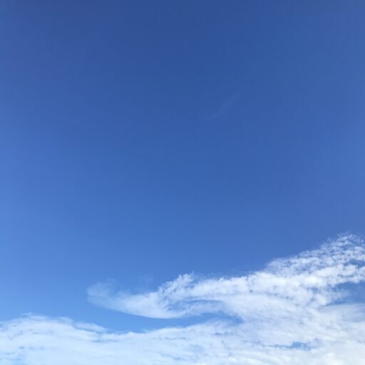 初夏の旅