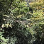 大井川鐵道井川線