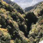 関の沢橋梁