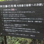 井川夢の吊橋