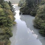 井川夢の吊橋