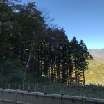白樺荘