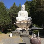 井川大仏