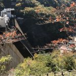 井川ダム