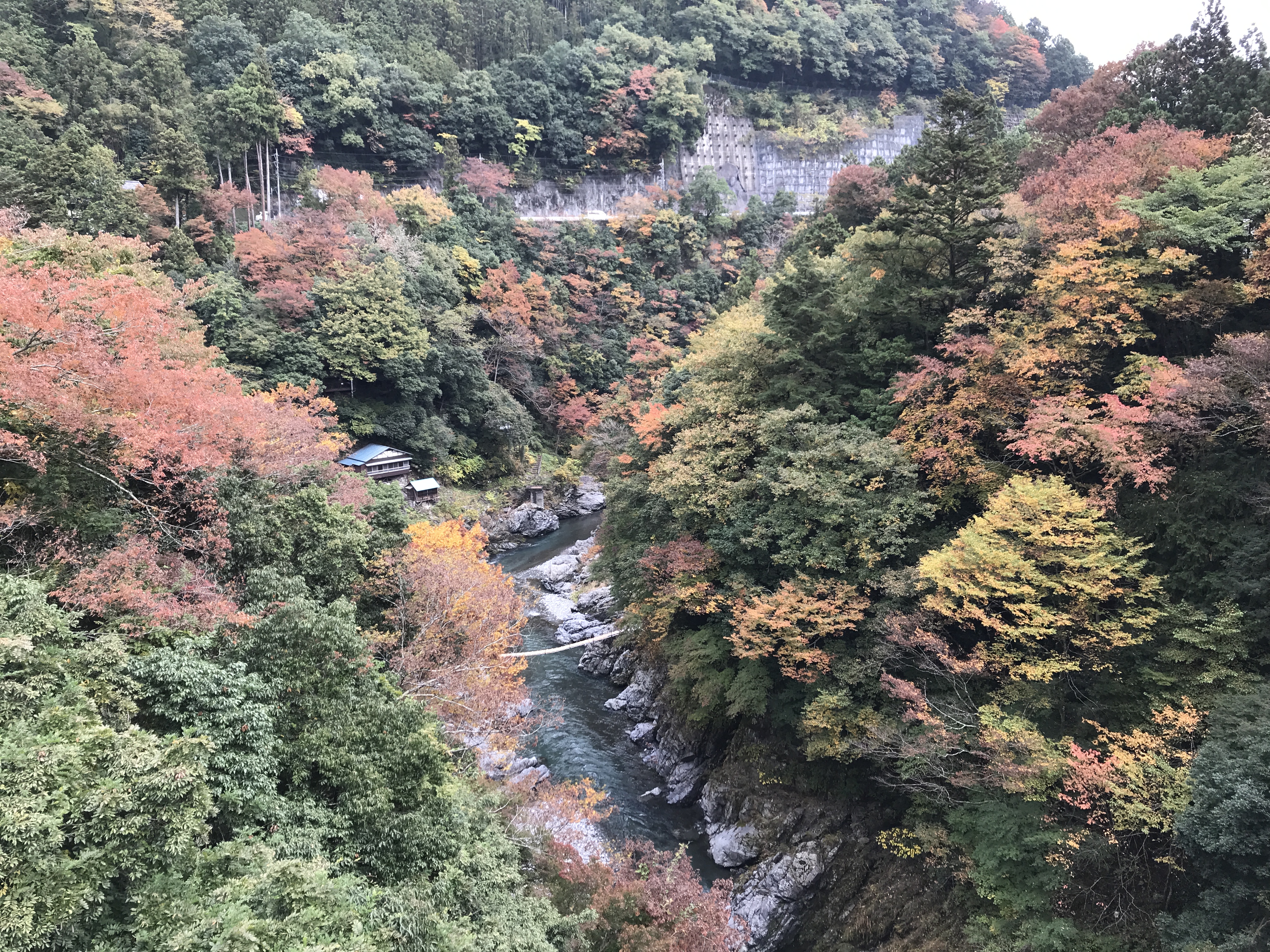 鳩ノ巣渓谷