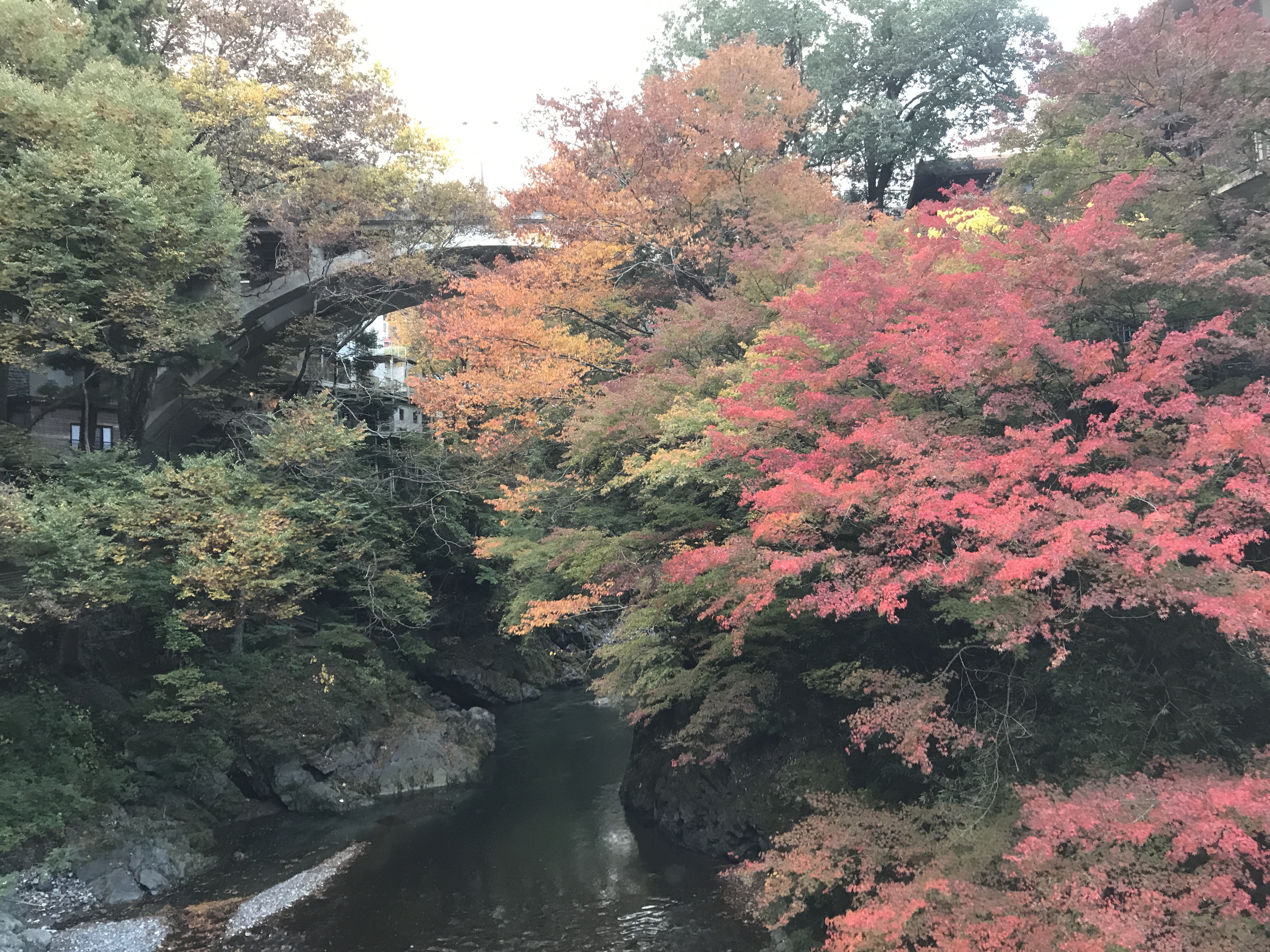 氷川渓谷(奥多摩町)
