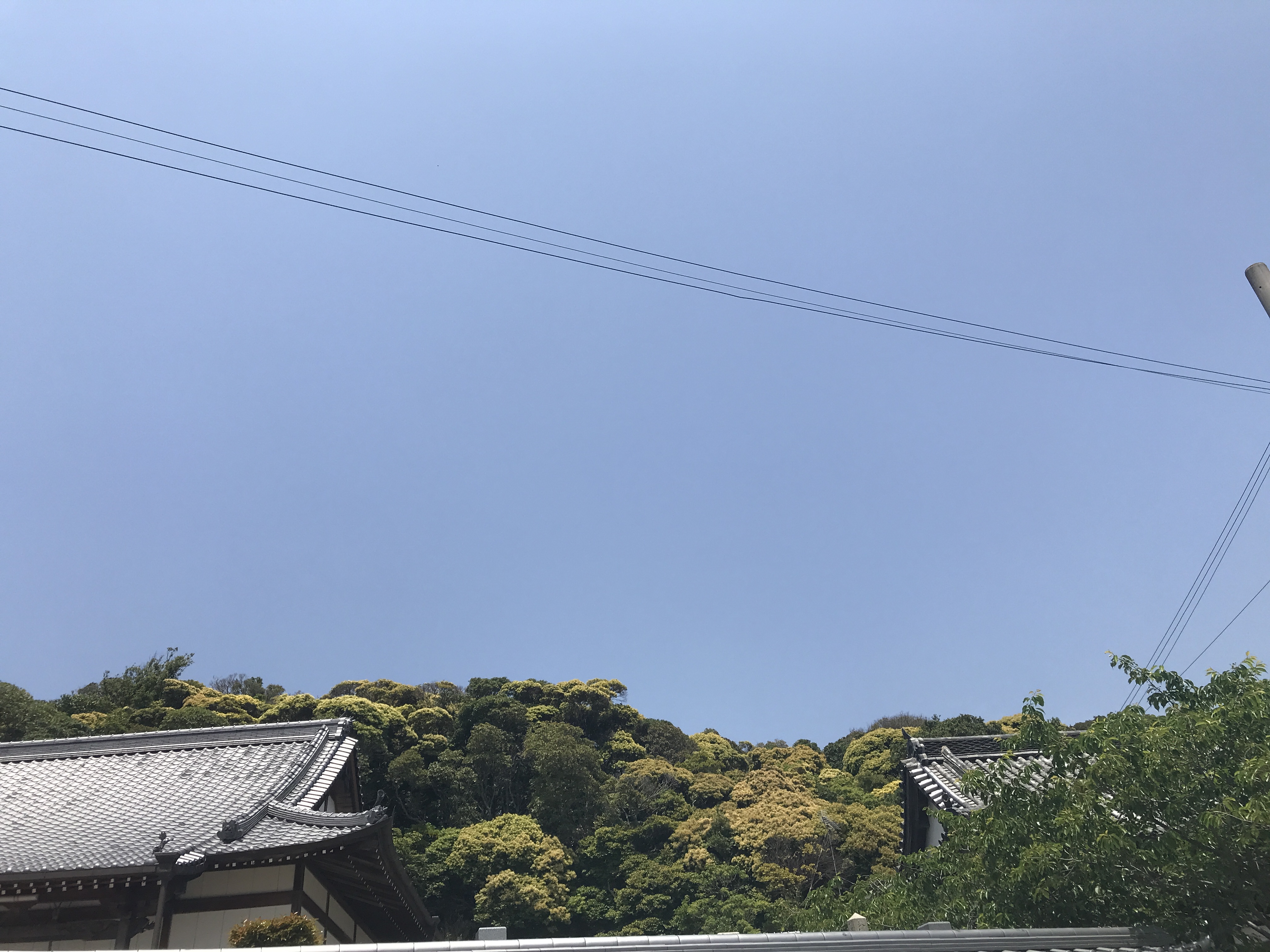 世界平和大観音像