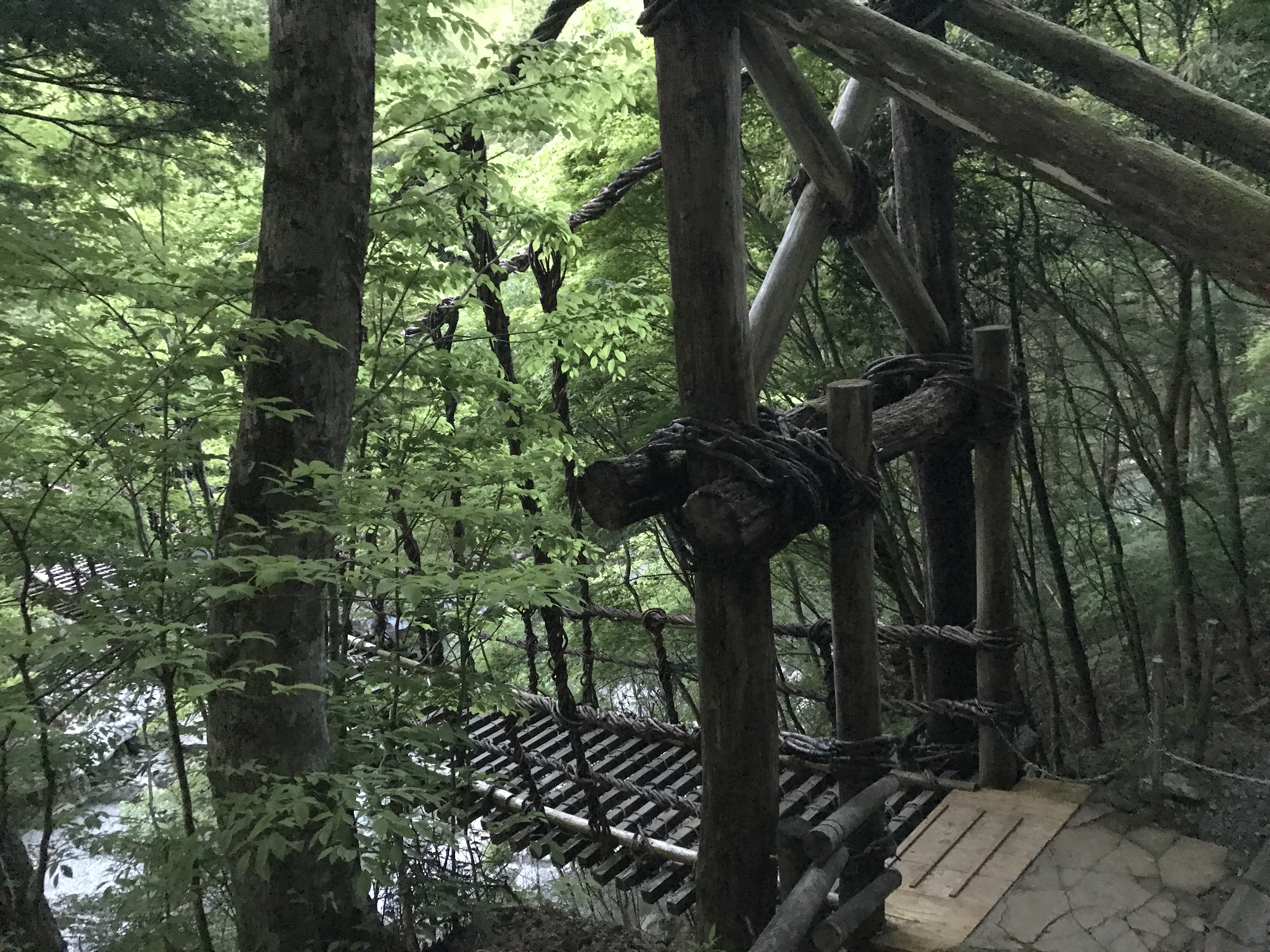 奥祖谷二重かずら橋