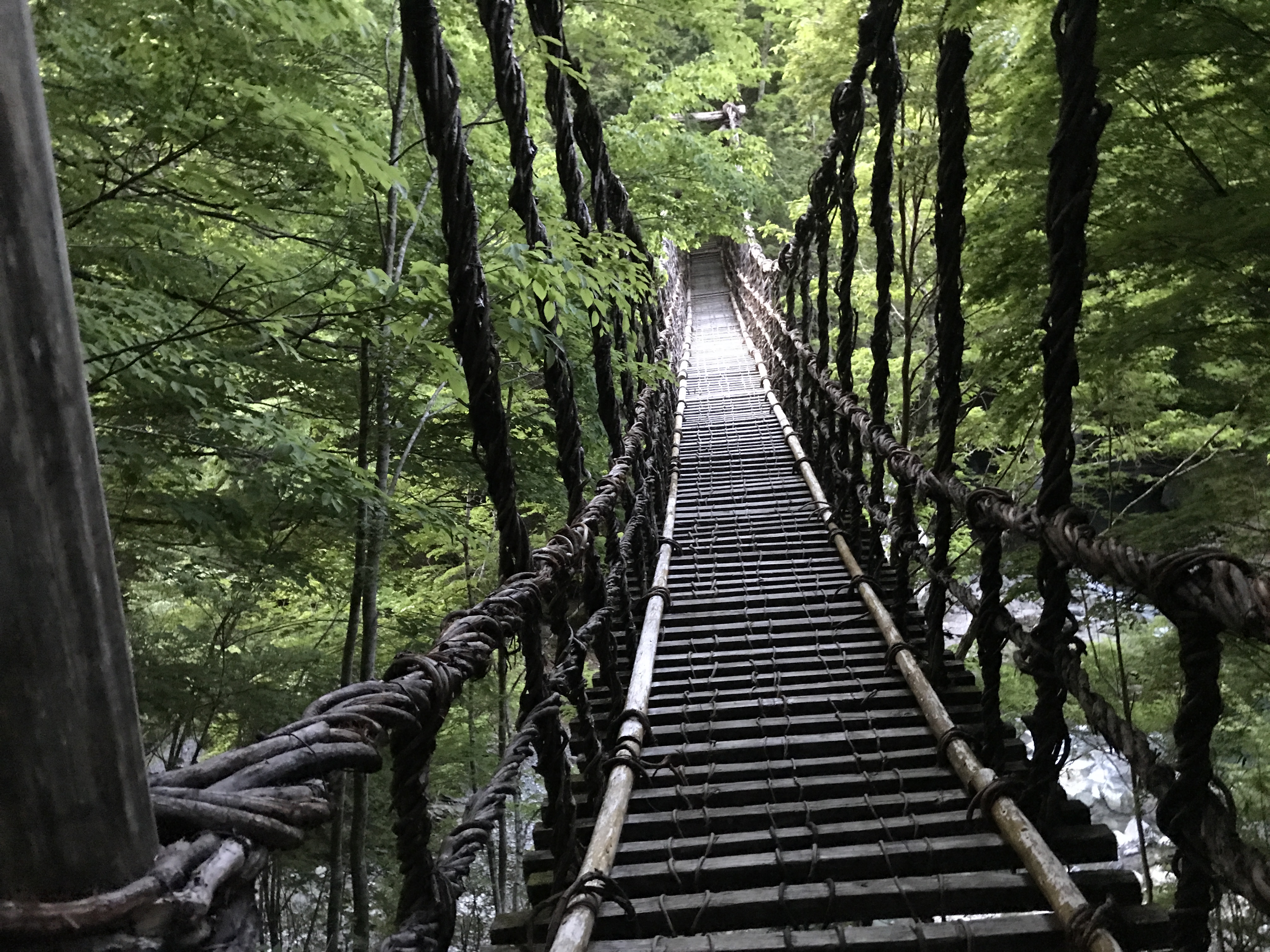 奥祖谷二重かずら橋