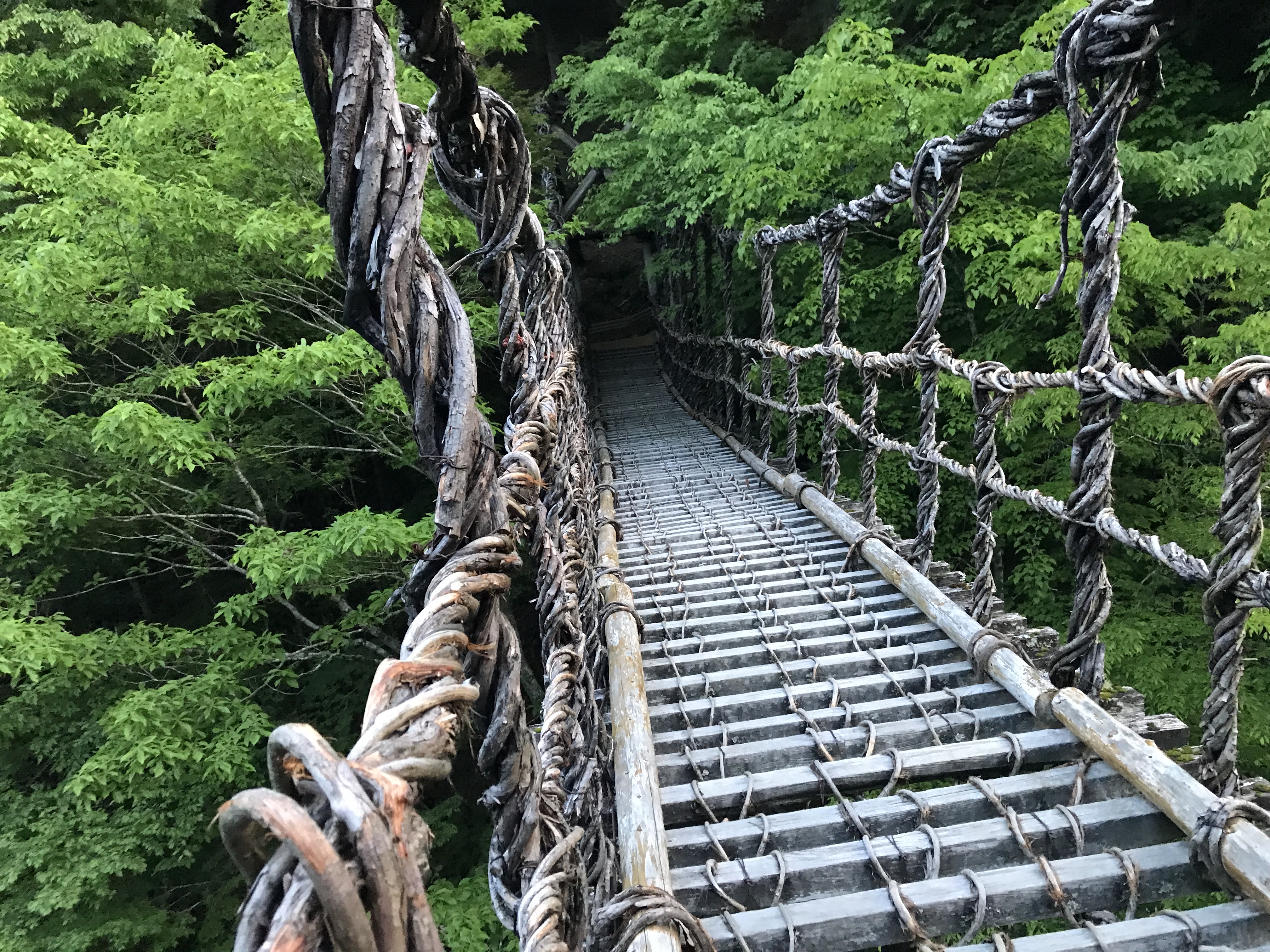 奥祖谷二重かずら橋