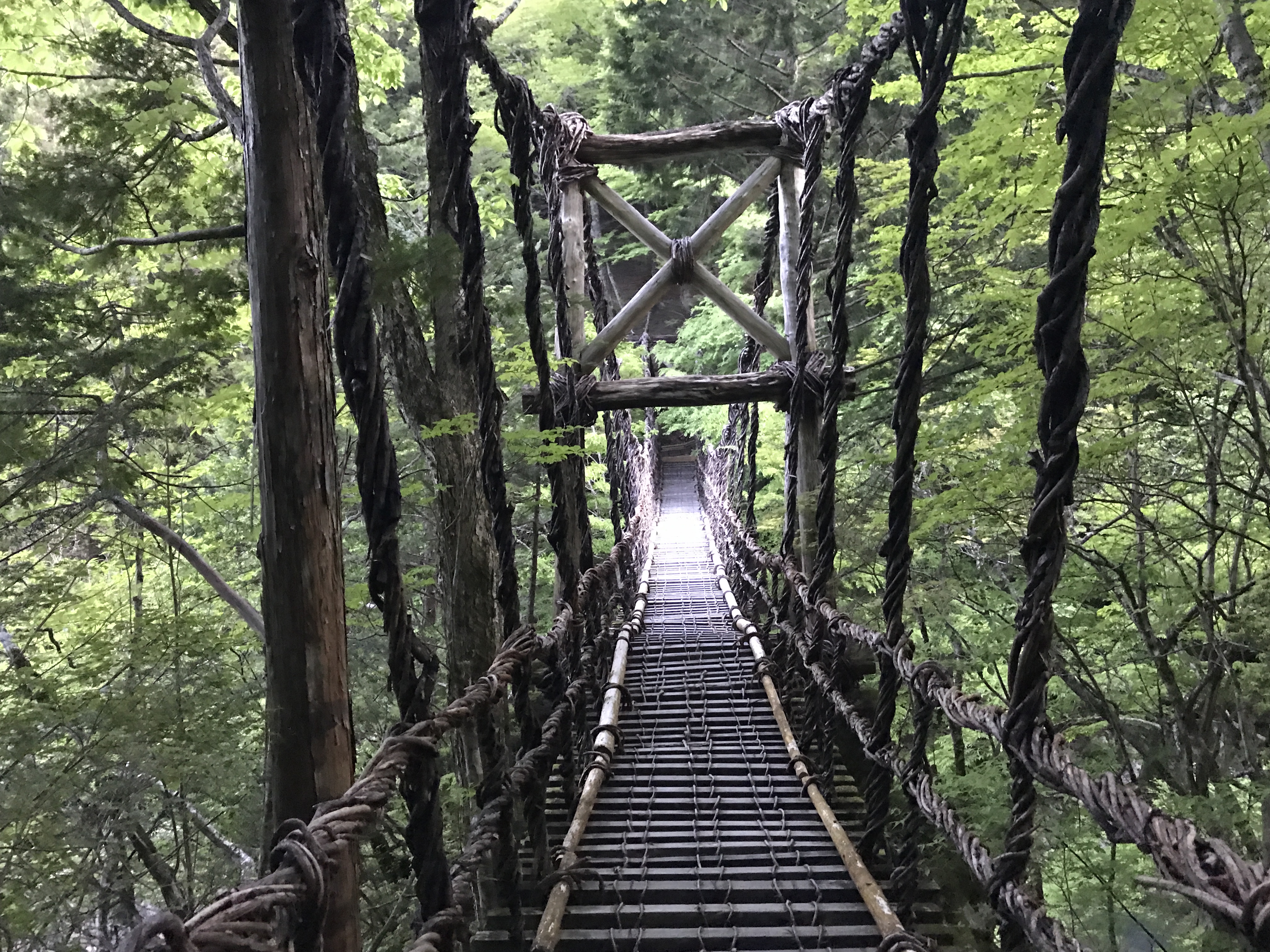 奥祖谷二重かずら橋