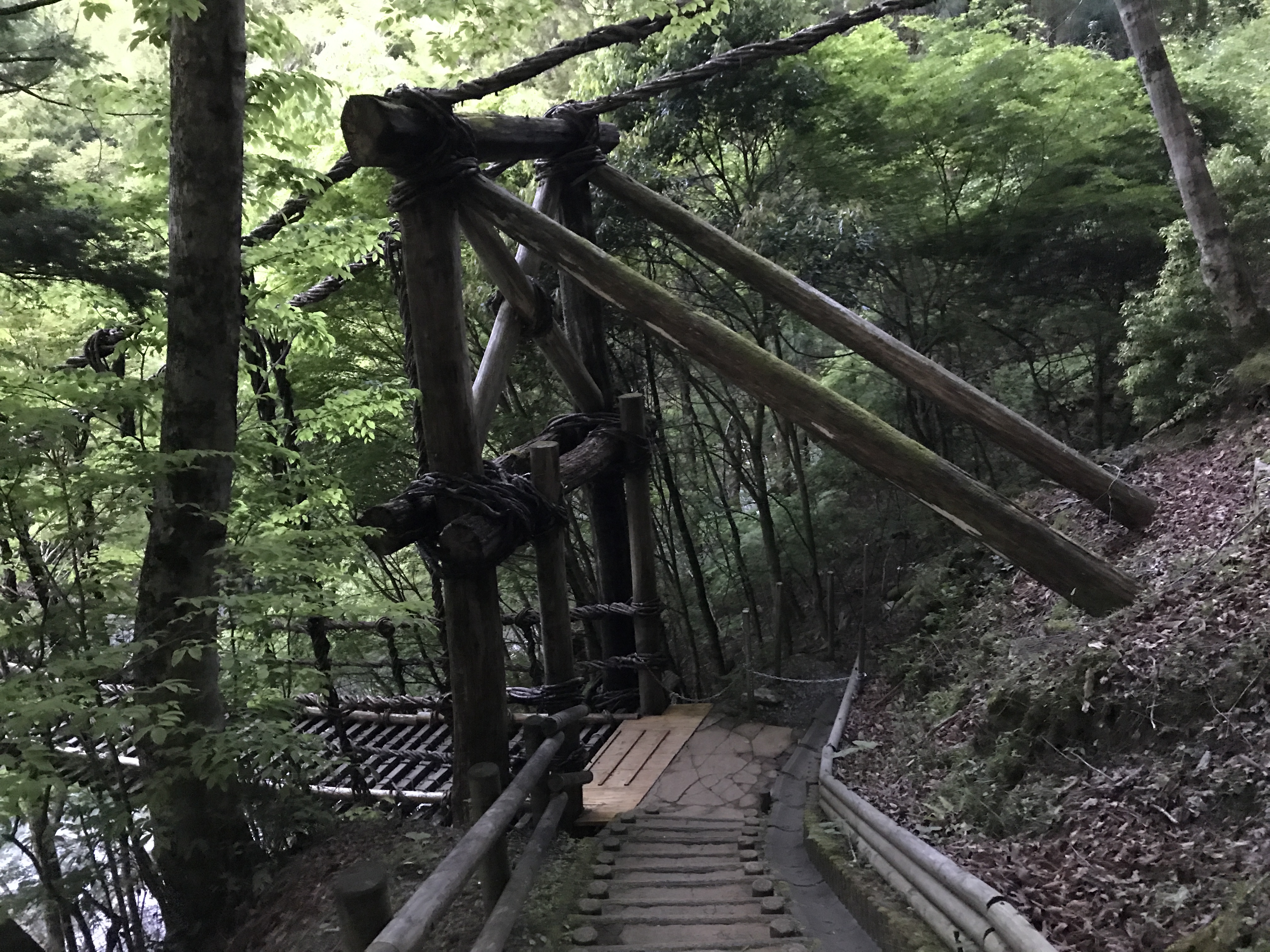 奥祖谷二重かずら橋