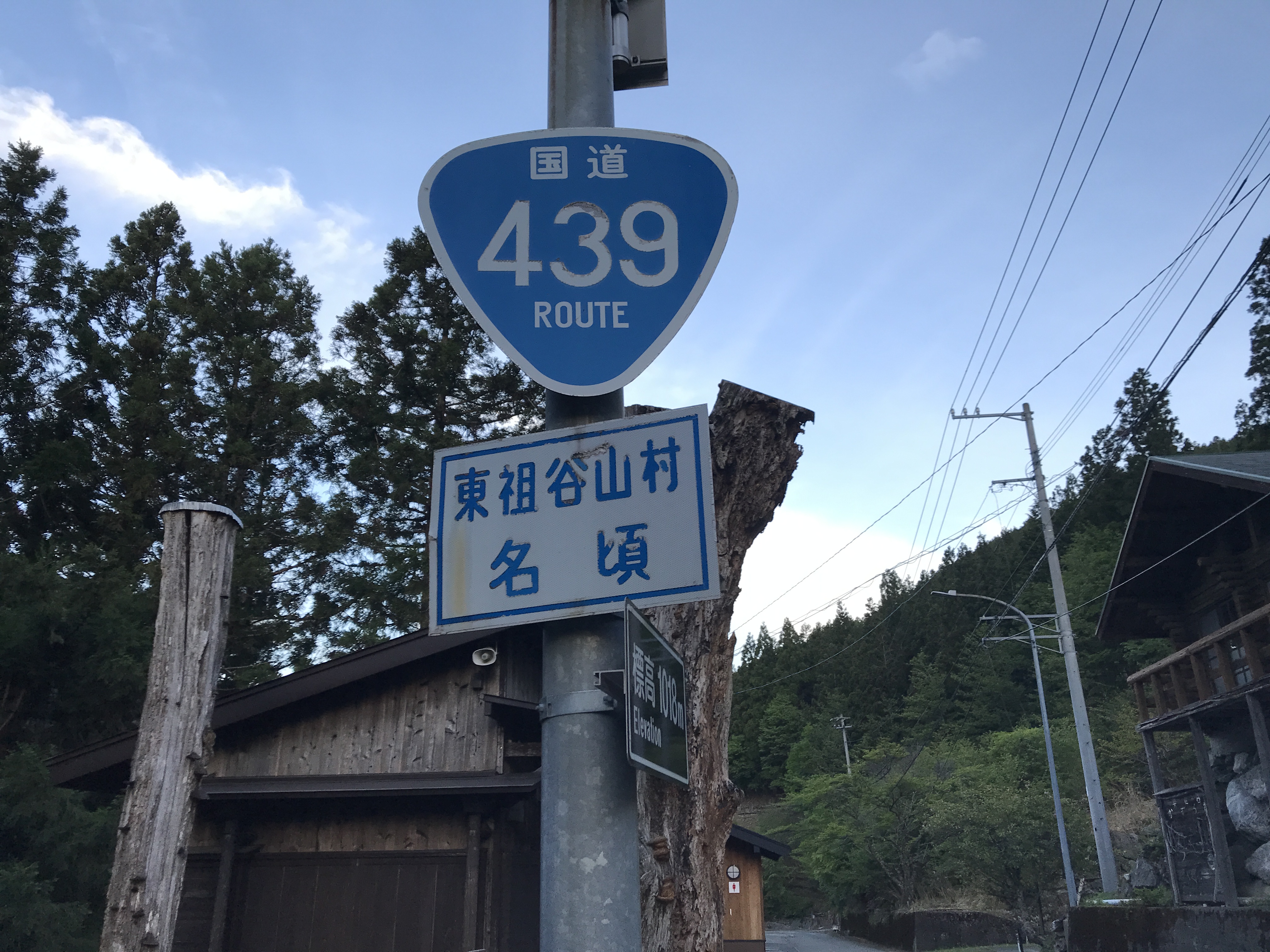 奥祖谷二重かずら橋
