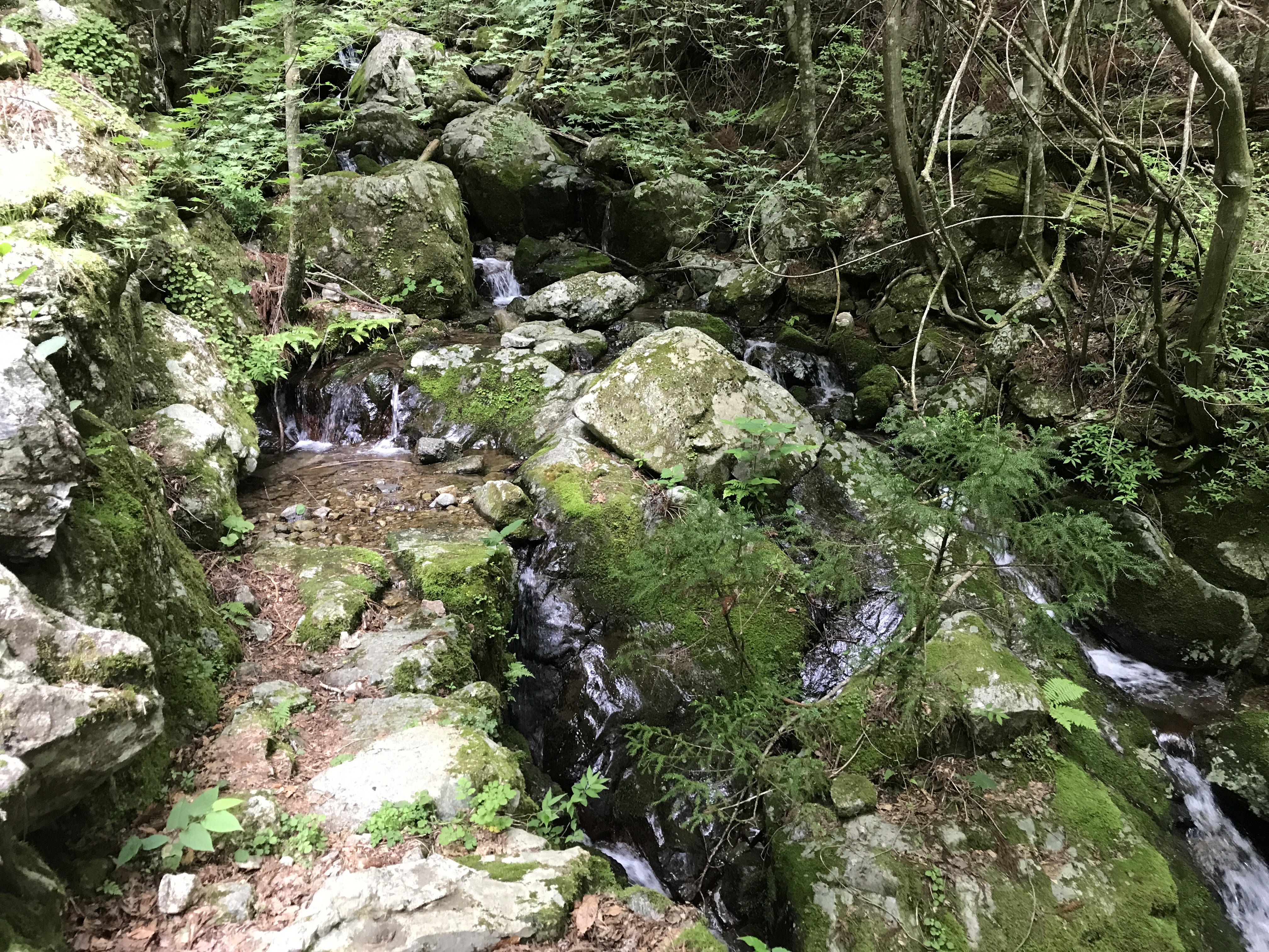 四万十川源流点