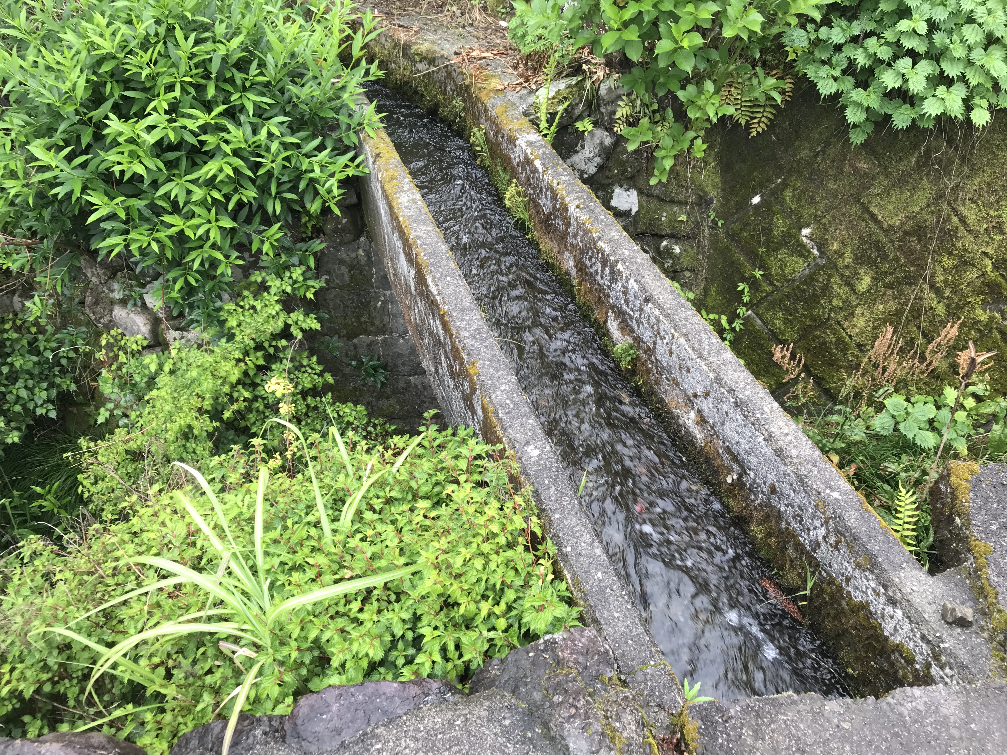早瀬の一本橋
