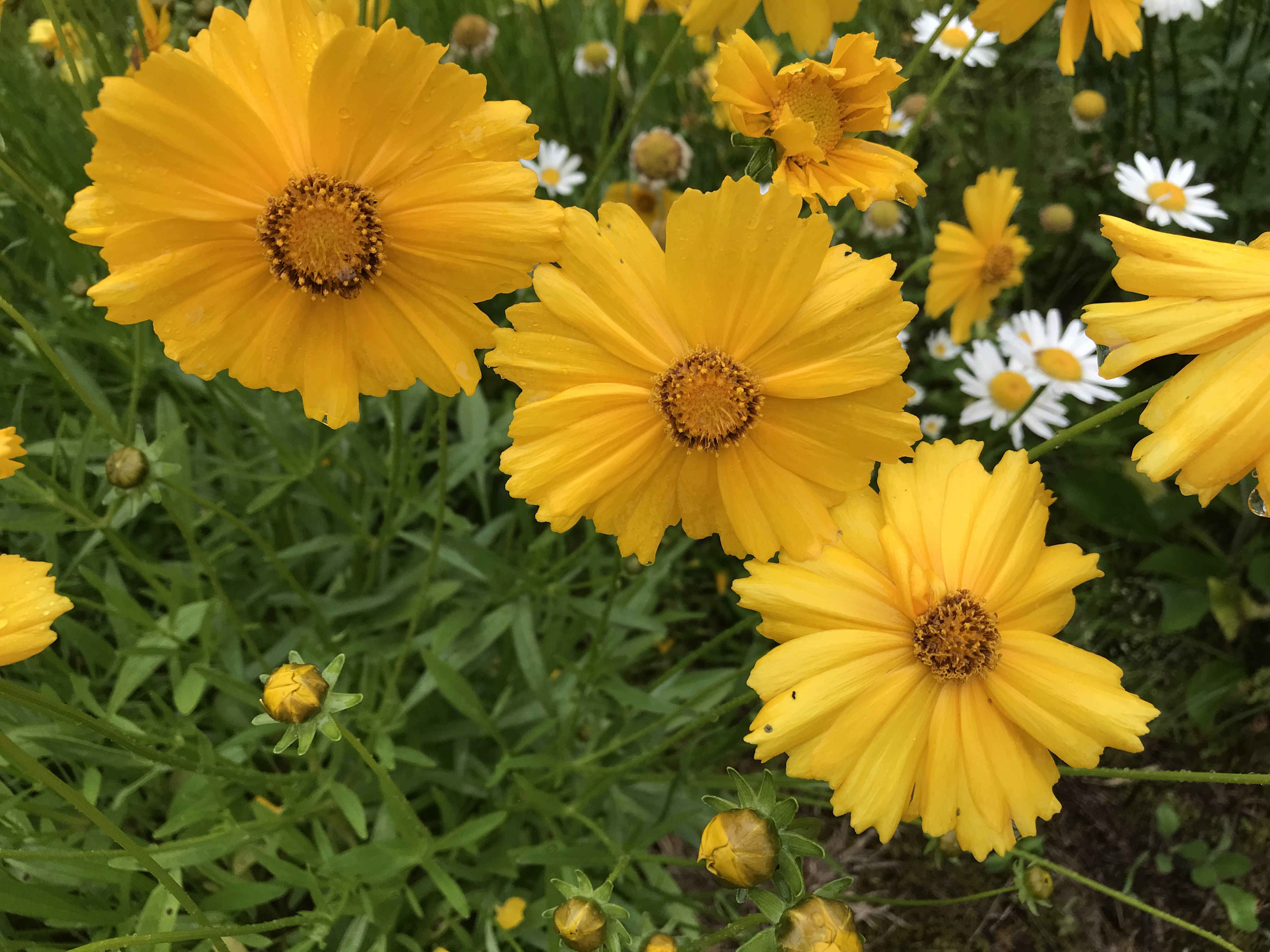 久保谷セラピーロード付近