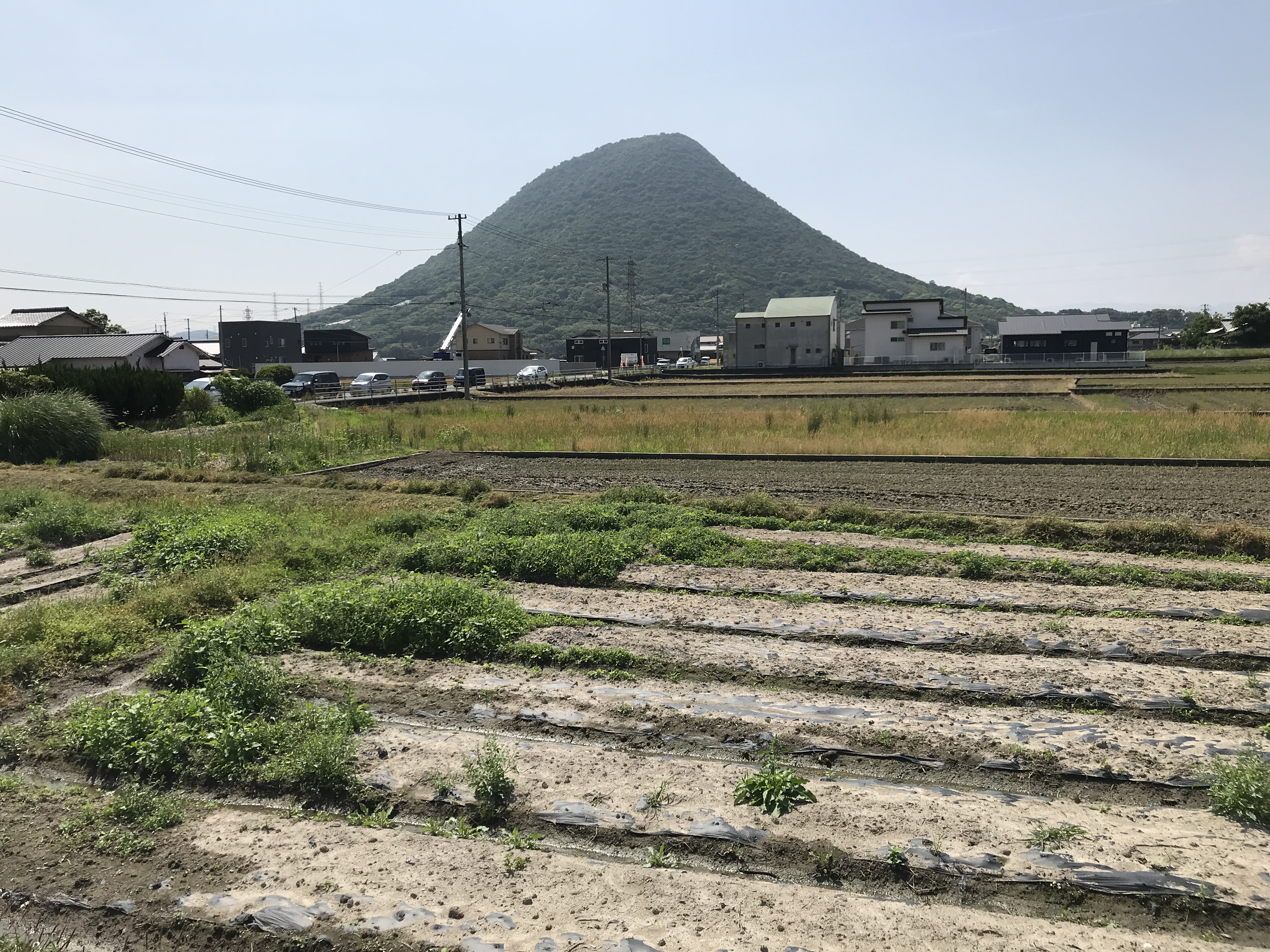 飯野山
