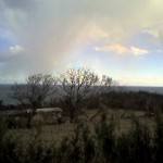 200901021302_宮城県_金華山