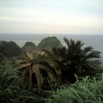 201005290851_鹿児島県_佐多岬灯台