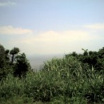 201005301329_鹿児島県_開聞崎