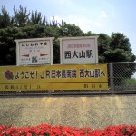 201005301330_鹿児島県_西大山駅