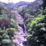 201006021136_佐賀県_ｱｼﾞｻｲ祭り