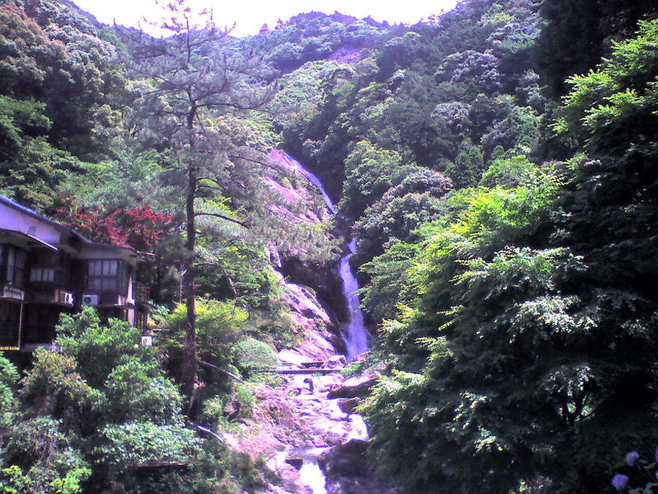 201006021136_佐賀県_ｱｼﾞｻｲ祭り