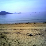 201006040920_広島県_廿日市