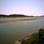 201006091114_高知県_四万十川下流