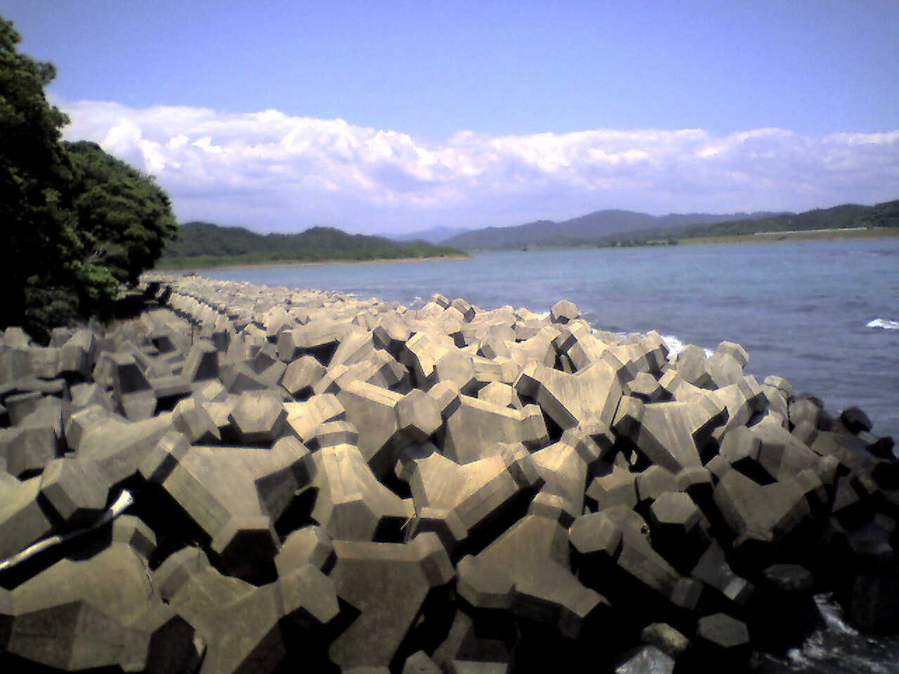 201006091139_高知県_四万十川河口