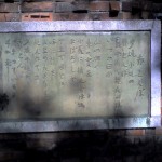 201006100713_兵庫県_龍野公園_赤とんぼ