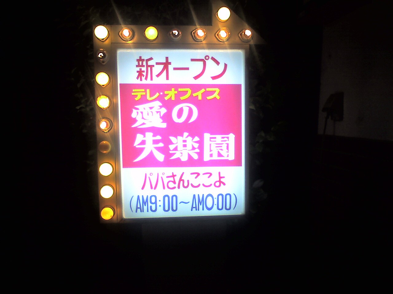 201006102123_和歌山県_愛の失楽園