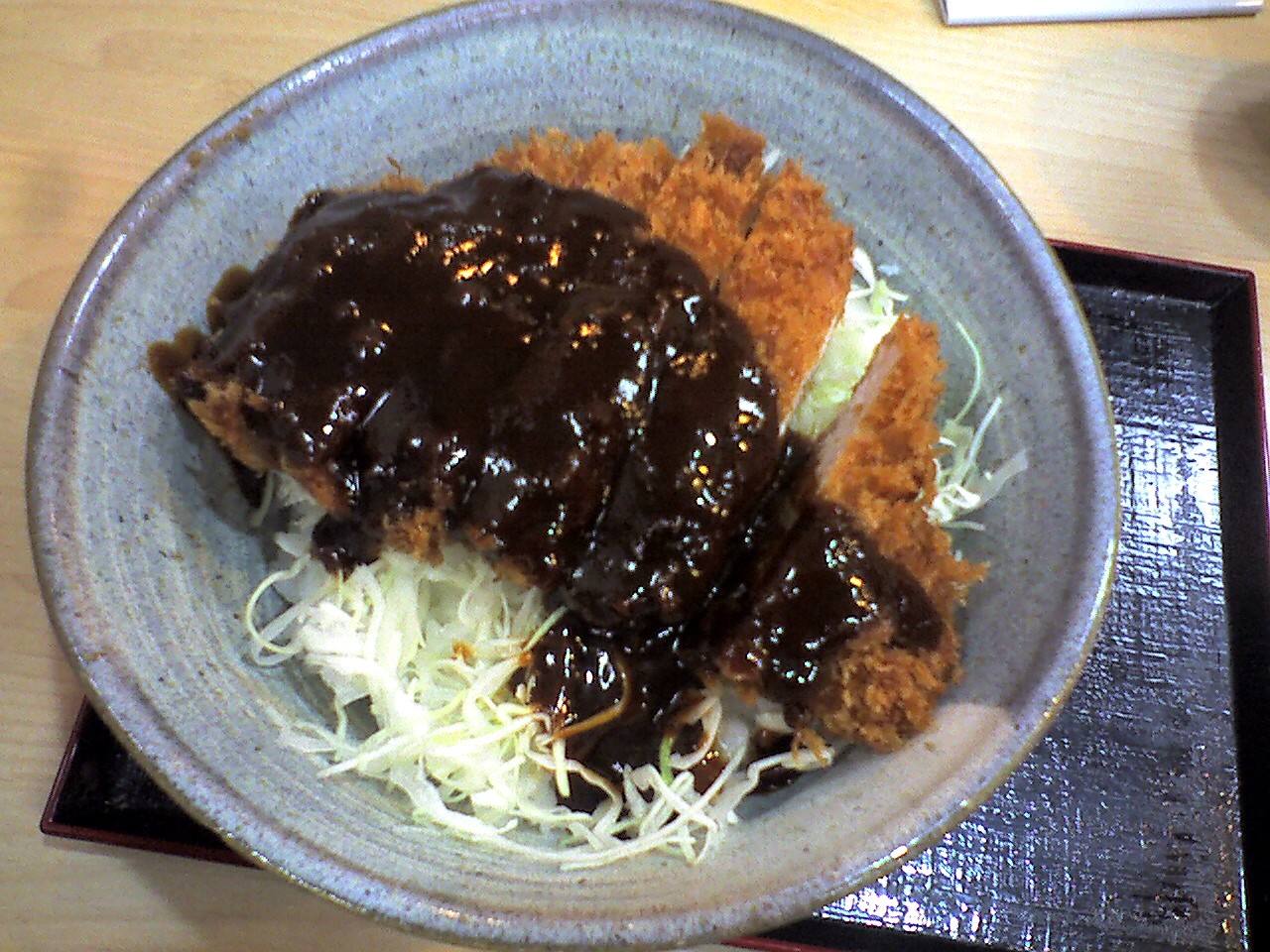 201006122121_愛知県_春日井市かつやミソカツ丼