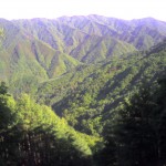 201006150719_長野県_しらびそ峠