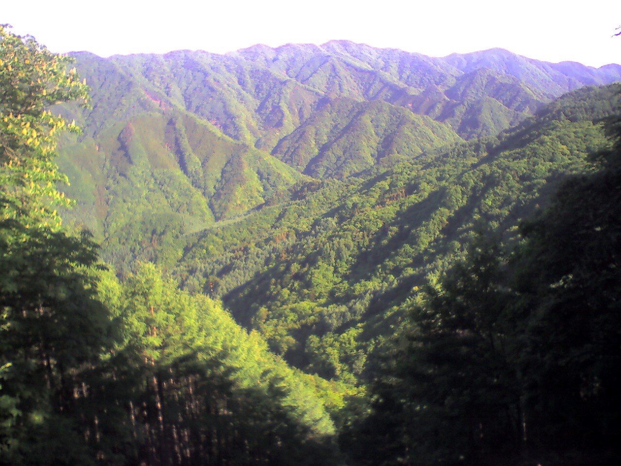 201006150719_長野県_しらびそ峠