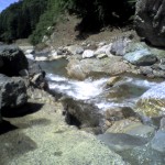 201006150904_長野県_大島河原河川公園