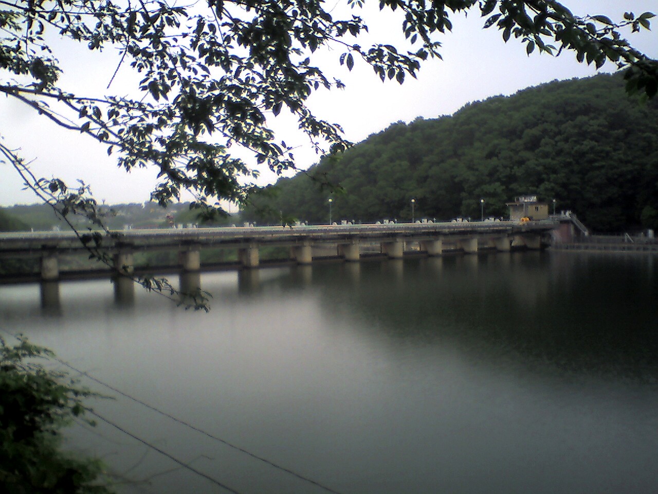 201006151407_愛知県_勘八