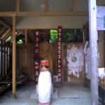201006171118_徳島県_幸福神社