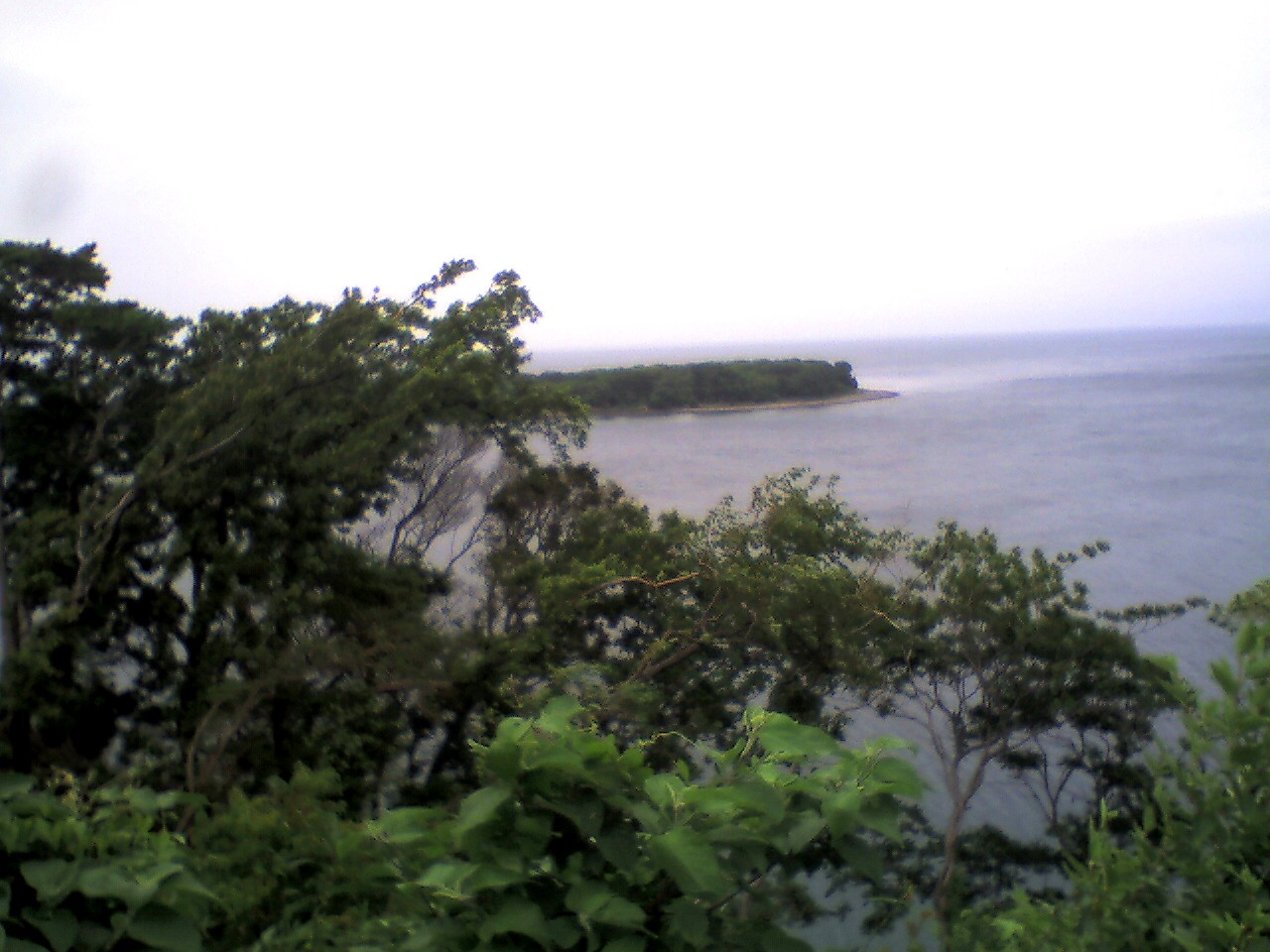 201006201551_静岡県_大瀬岬